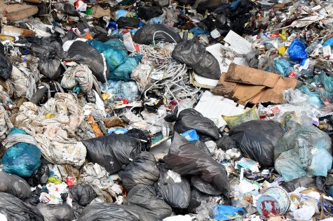 Brunswick County's free dump week is here. However, regular household trash and hazardous waste will not be accepted at the Bolivia landfill. (Port City Daily/File photo)