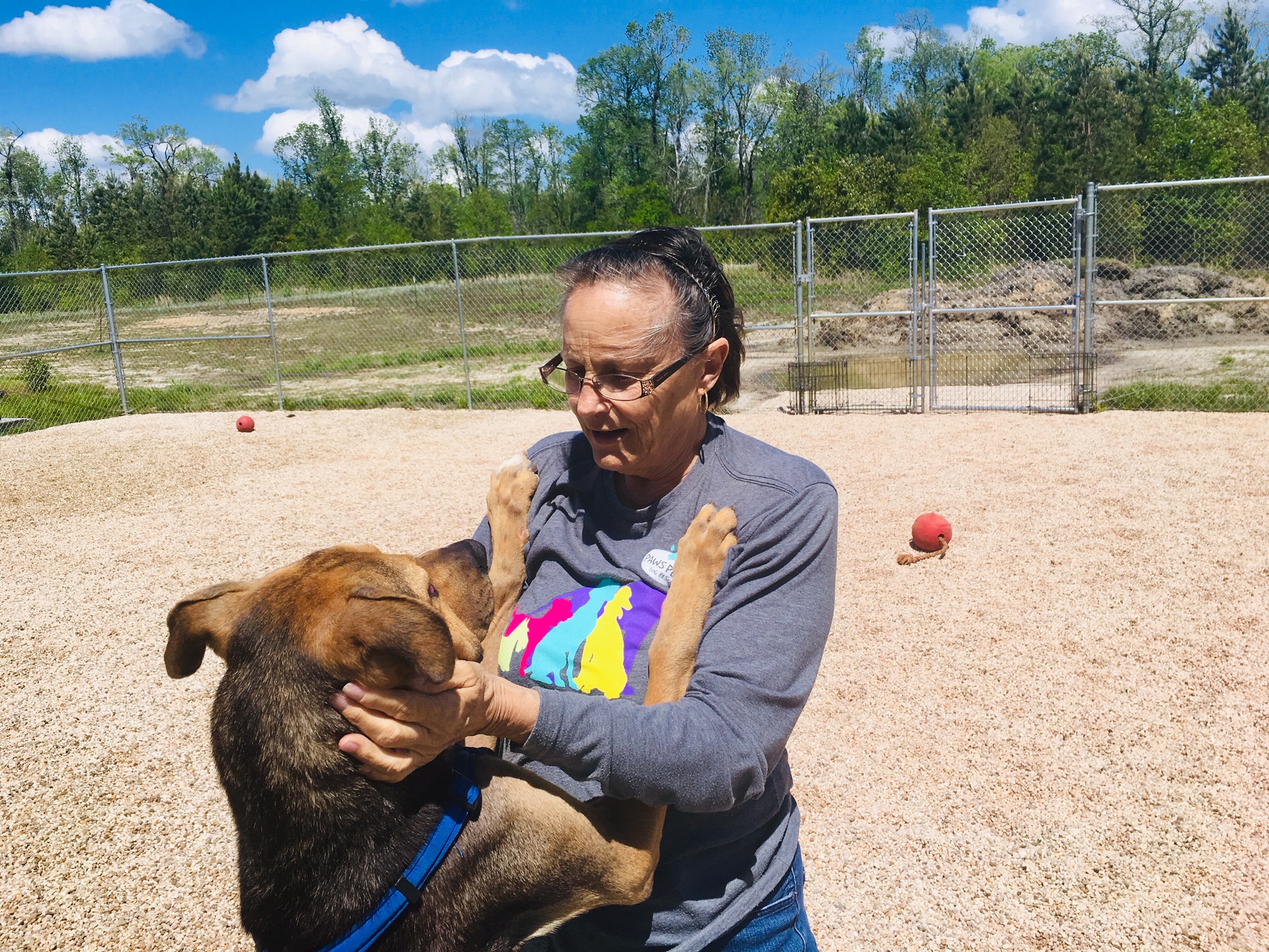 Hurricane Florence survivor Brock enjoys spending time with his human best friend, Robin Arnaud. (Port City Daily photo / Samira Davis)