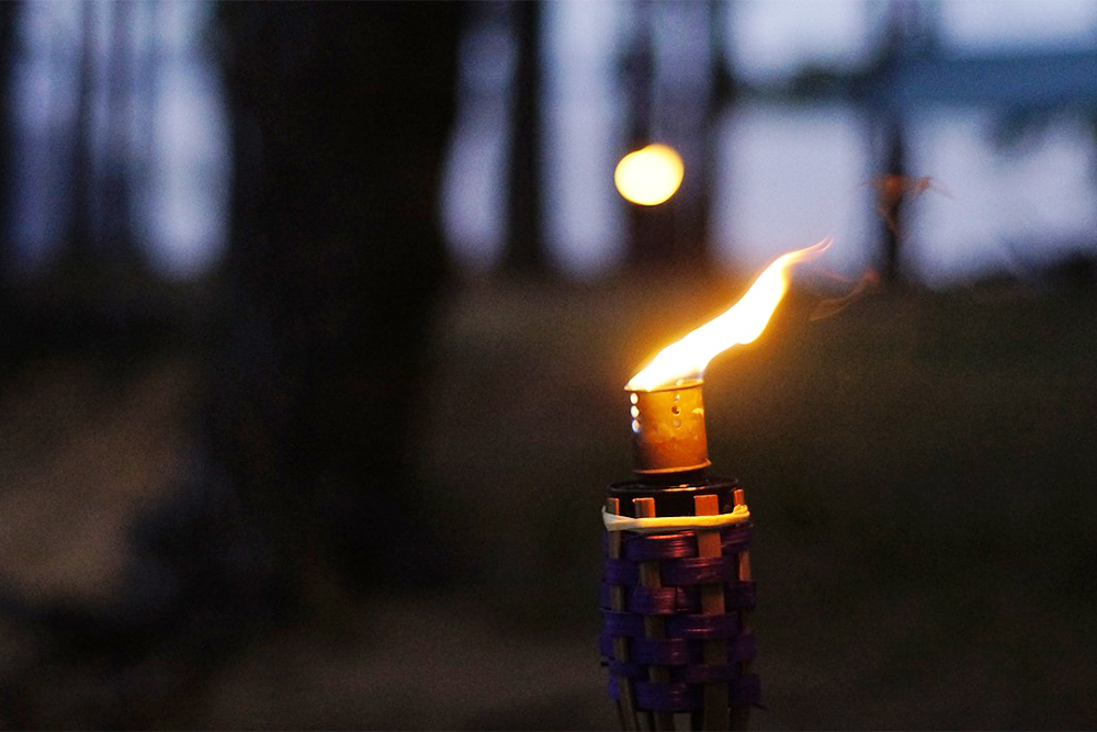 In Leland, adults will get the change to hunt for Easter eggs too. (Port City Daily/File photo)