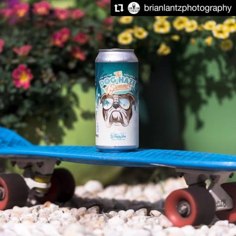 Bill's Brewing will be releasing cans of their Dog Haze of Summer May 16. (Port City Daily photo/Courtesy Bill's Brewing Co.)