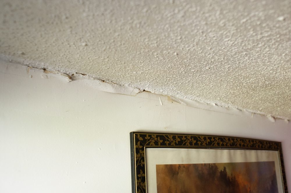 Maple Hill resident Romana Rochelle said she noticed cracks in the ceiling and along the walls of her home after it "shifted" in the weeks after Hurricane Florence brought floodwaters beneath it. (Port City Daily photo/Mark Darrough)