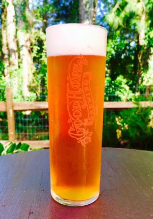 Good Hops released its Triple Belgian on Saturday. (Port City Daily photo/Courtesy Good Hops Brewing)