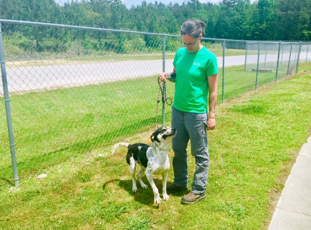 Muppet out for a walk. (Port City Daily photo / Samira Davis)