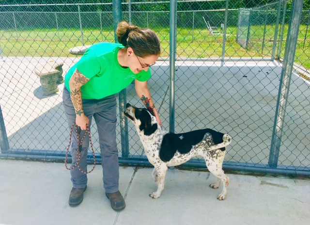 Muppet enjoys the company of Pender County Animal Shelter attendant Danielle Miller. (Port City Daily photo / Samira Davis)