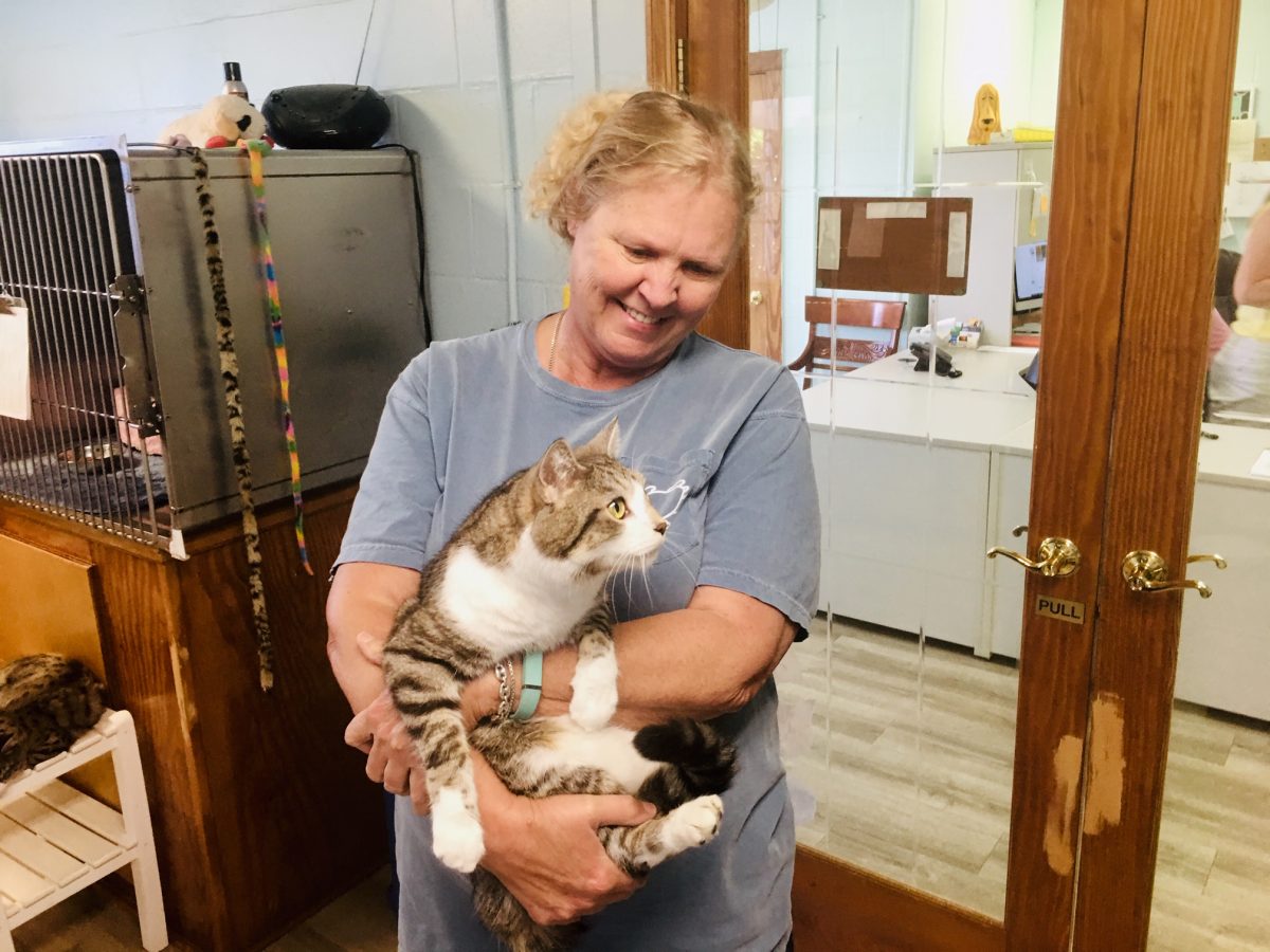 Mike cuddles with New Hanover Humane Society shelter manager Jamie Kilgore. (Port City Daily photo / Samira Davis)