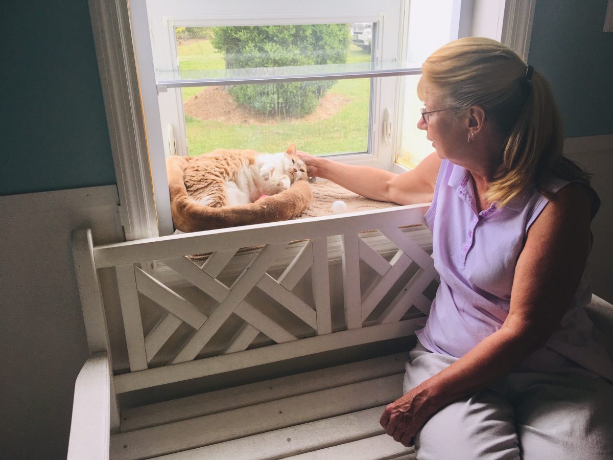 Taupie has become a favorite of animal care specialist Lisa Wolak, who pays her special attention. (Port City Daily photo / Samira Davis)