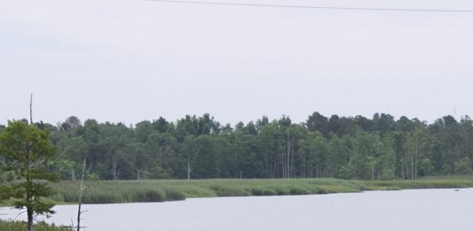 On Wednesday morning, the abandoned and sinking 1982 sailboat on the Brunswick River visible from Highway 74 was still there. On Wednesday afternoon, Brunswick County Sheriff's Office said the owner was removing it. (Port City Daily/File photo)