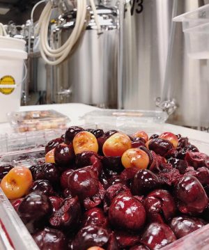 A sneak peak at some of the hundreds of cherries that were pitted and prepped at Flytrap Brewing for an upcoming Gose beer. (Port City Daily photo/Courtesy Flytrap Brewing)