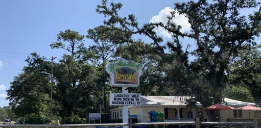 New Hanover County has responded to public outcry over possible razing of the Ogden Oak trees (Port City Daily/Michael Praats)