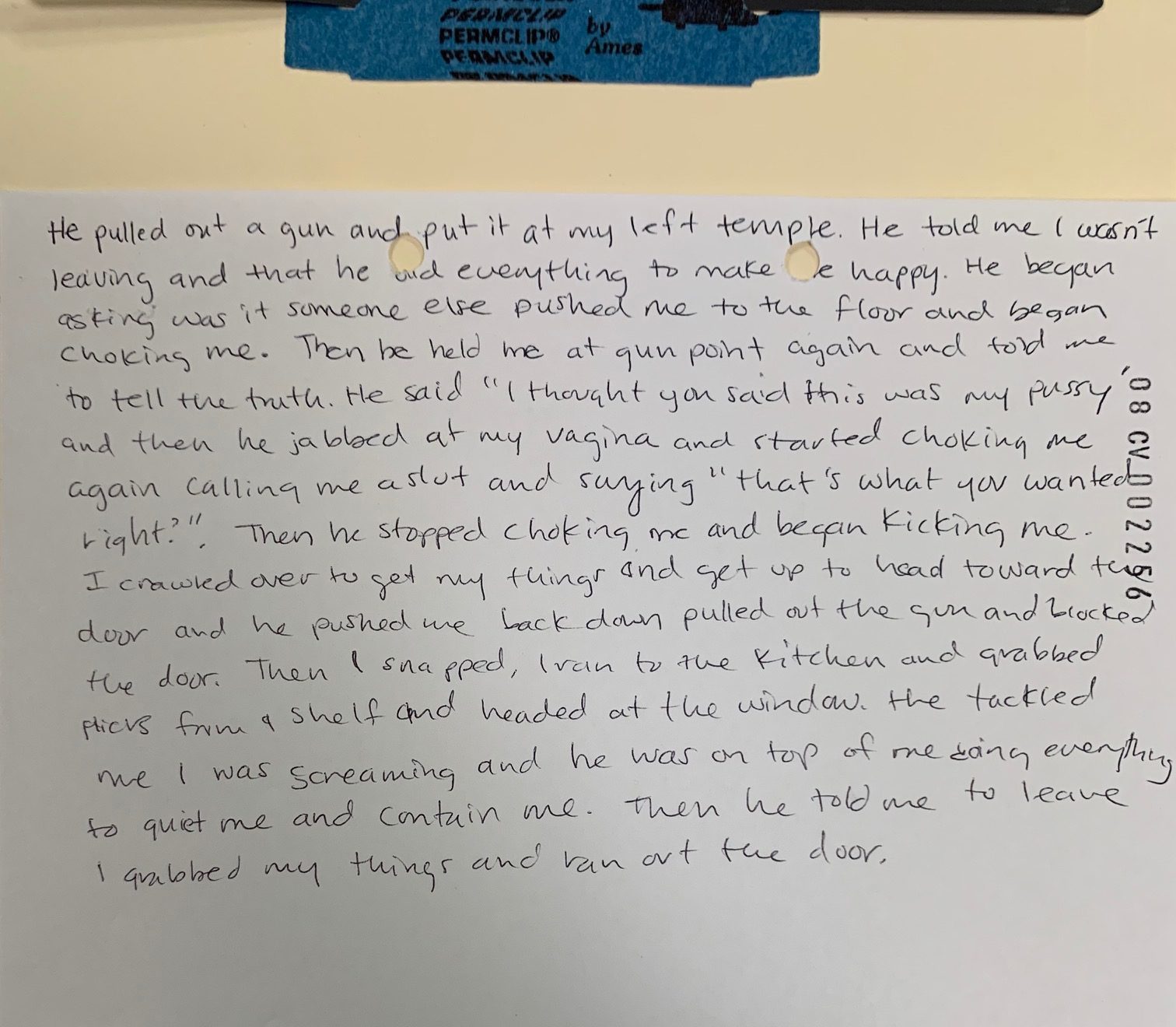 Sworn testimony from a 2008 domestic violence protection order filed in New Hanover County District Court. (Port City Daily photo / New Hanover County District Court)