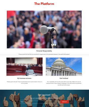 A captured screenshot of the mock website, before it was taken offline (click to enlarge).