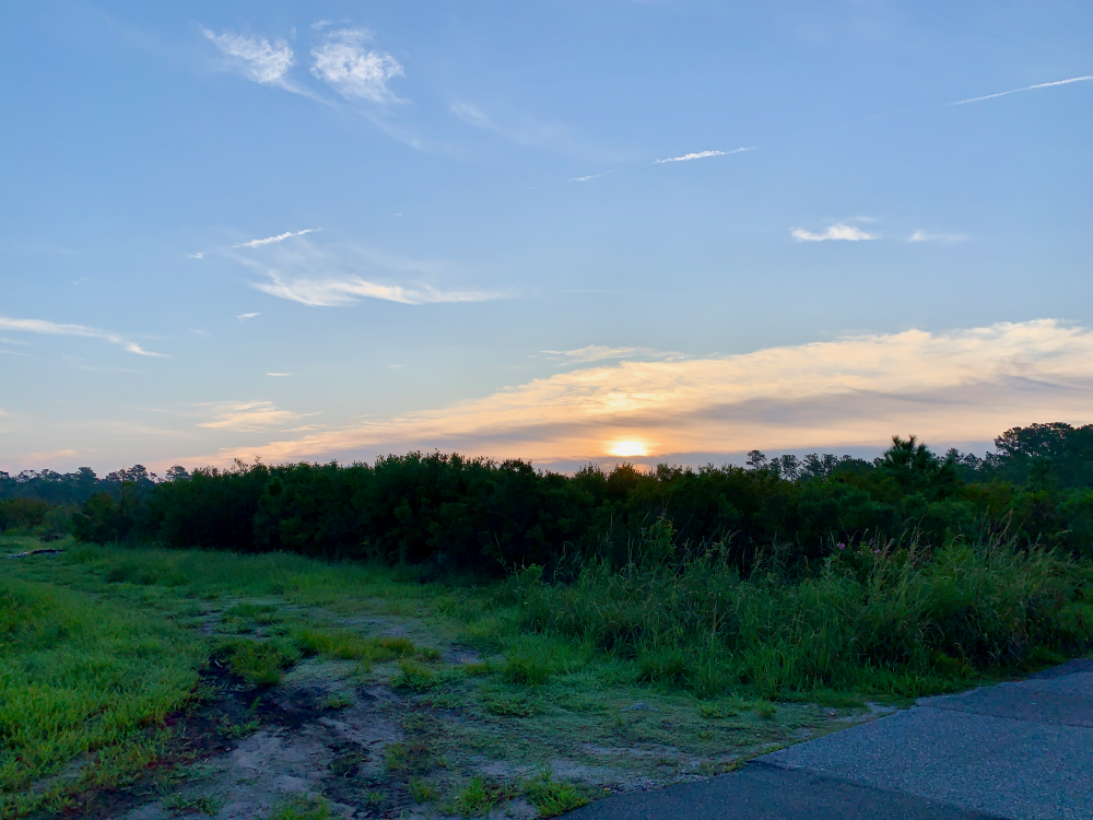 Located off Lendire Road and Market street, 30 acres are slated to become a mixed-use development. (Port City Daily/Michael Praats)
