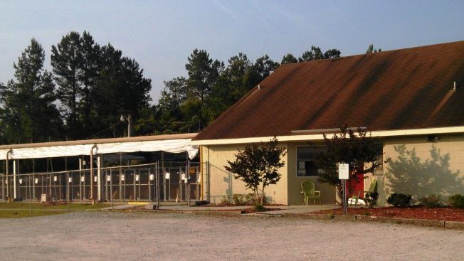 The Pender County Animal Shelter is under a 14-day quarantine after a young dog broke with the Parvo virus. The shelter's manager Jewell Horton said there has been a large increase in Parvo cases this year. (Port City Daily photo/Courtesy Pender County Animal Shelter)