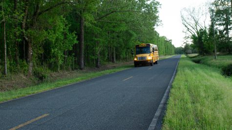 A Pender County School bus near Maple Hill. Last spring, a 6-year-old student of Surf City Elementary was sexually assaulted on a PCS bus by a 13-year-old middle school student. (Port City Daily photo/Mark Darrough)