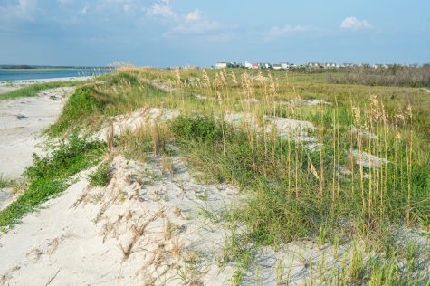 The North Carolina Coastal Federation announced that a recent analysis of land use restrictions on 110 acres of open land on the southern end of Topsail Island has "very limited development potential." (Port City Daily photo/Mark Darrough)