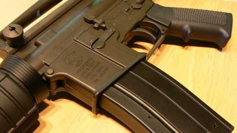Local representative Ted Davis Jr. said he has been working with local law enforcement as well as other groups to address gun rights and possible gun control laws (Port City Daily/File)