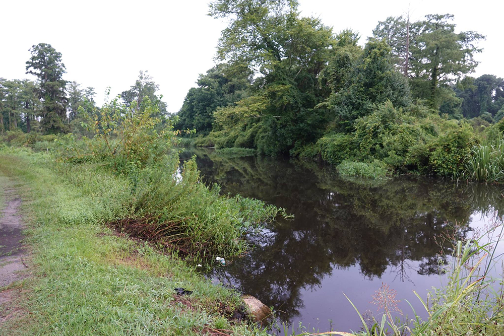 Burnt Mill Creek, seen from Market Street, has higher-than-normal levels of fecal coliform due to a sewer spill caused by a 70s-era pipe that was first noticed Tuesday morning. (Port City Daily photo / File)