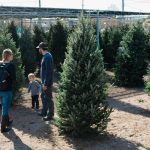Jason Madero browses Christmas trees with his family at Barr Evergreens. The third-generation company sells about 9% of its trees at its Wilmington retail location on the corner of Independence and Shipyard Blvd. - or roughly 3,000 of 38,000 total sold this year. (Port City Daily photo/Mark Darrough)