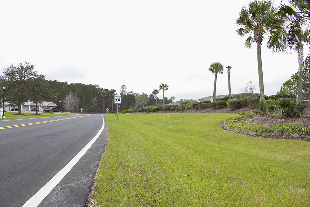 What's missing? Political signs are not currently allowed along town-owned right-of-ways in the Town of Leland. (Port City Daily photo/Johanna F. Still)