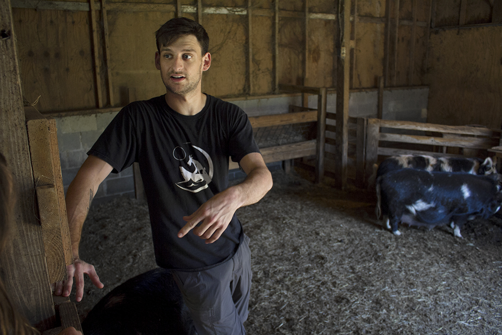 James Perryman with his pigs Chicken and Waffles in his Hampstead farm. (Port City Daily photo/Johanna F. Still)