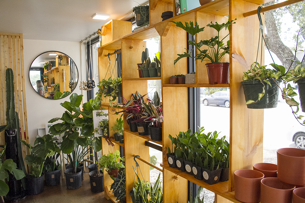 The Plant Outpost has opened in a shady spot next to Queen Street Barbershop in the Cargo District. (Port City Daily photo/Johanna F. Still)