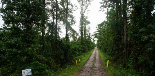 A Pluris water utility sign sits at the western edge of the 74-acre area designated for development, just north of Sidbury Road and west of Highway 17. (Port City Daily photo/Mark Darrough)