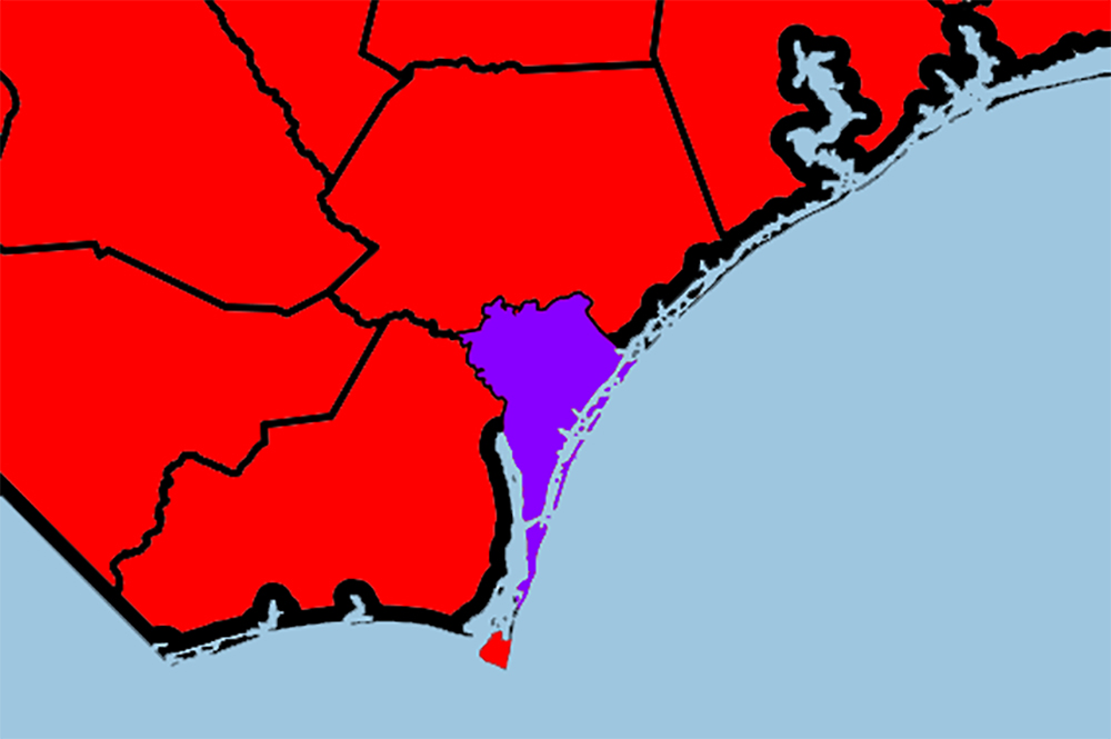 Compared to more Republican-leaning regions nearby, New Hanover County has proven itself to be steadily purple come election season, with voters consistently choosing a mix of both Republican and Democratic leaders at the local, state, and now, federal level.(Port City Daily illustration/Johanna F. Still)