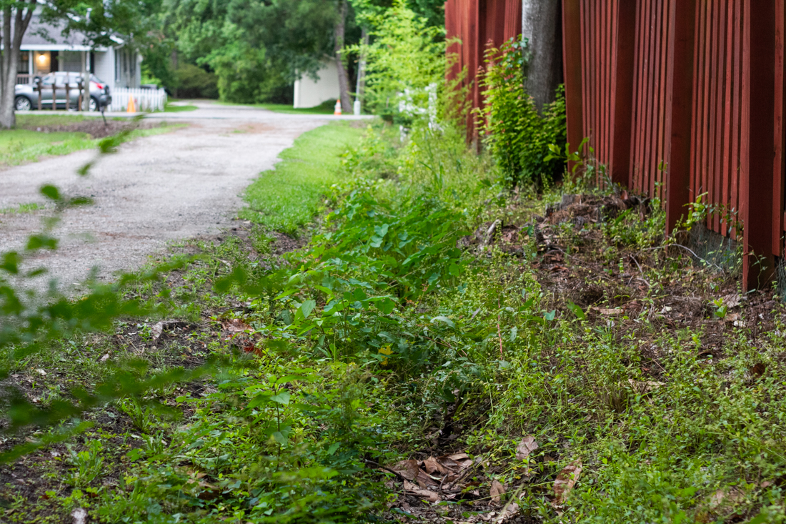 Stormwater conveyances throughout unincorporated New Hanover County will soon be surveyed and maintained by the county's new Stormwater Services program. (Port City Daily photo/Johanna F. Still)