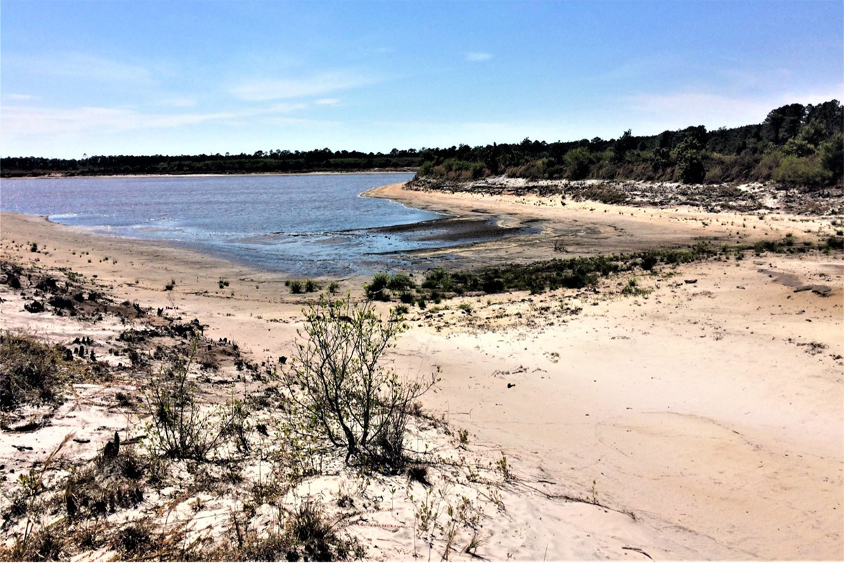 An image included in a hydrogeologist's report of a sand mine show the 40-foot deep pit's water level is about 12 to 14 feet below surface level, indicating a potential connection between the mine and the Castle Hayne aquifer. (Port City Daily photo/Courtesy Brunswick County)