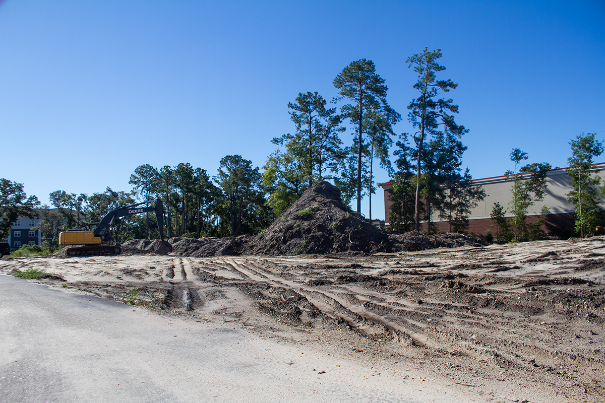 Property at the future Battleship Marine on Market Street has been cleared, removing 25 live oaks, including one (or two) at the center of a dispute between a consultant and local tree experts. (Port City Daily photo/Johanna F. Still)