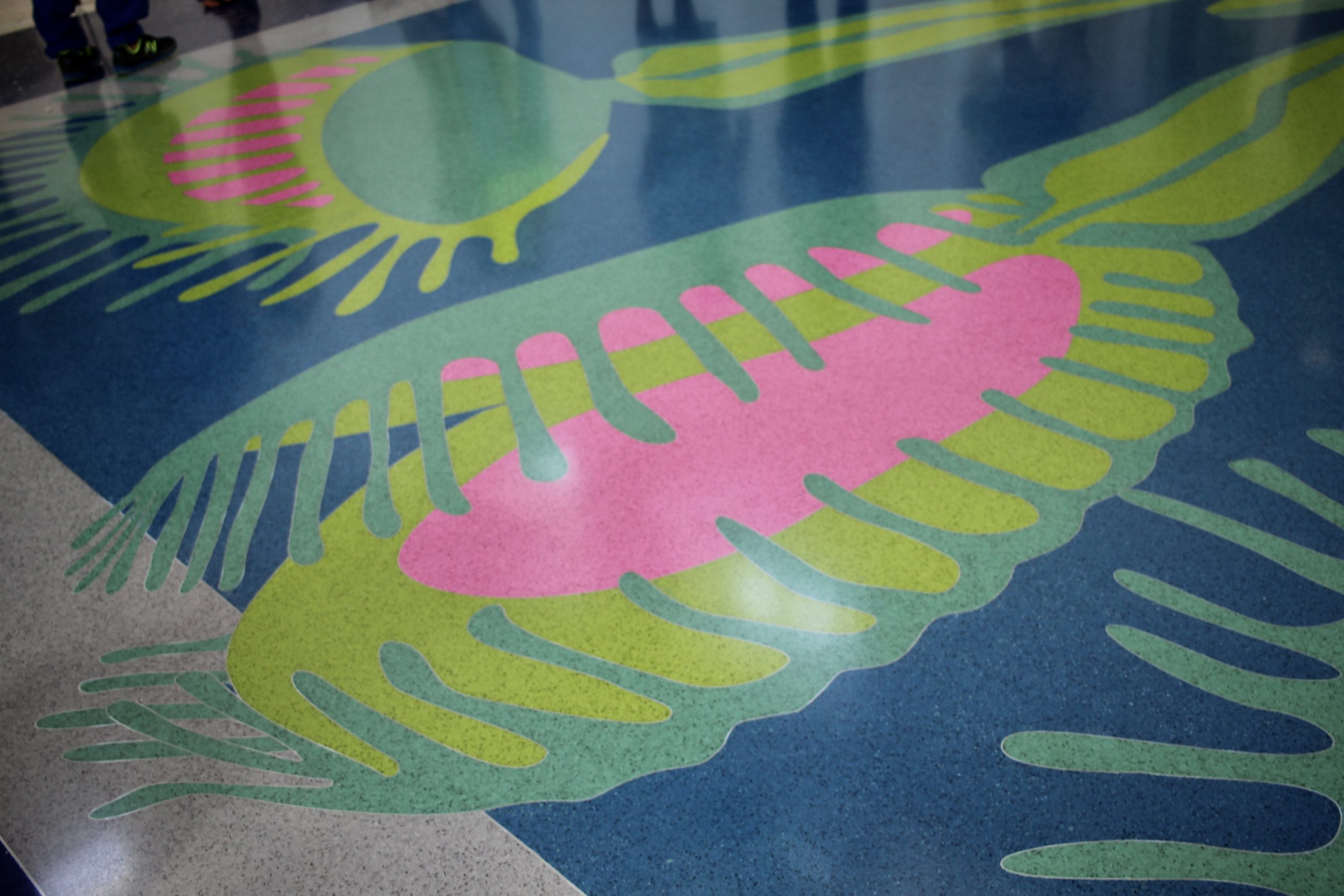 Wilmington native Venus flytrap showcased in ILM airport through