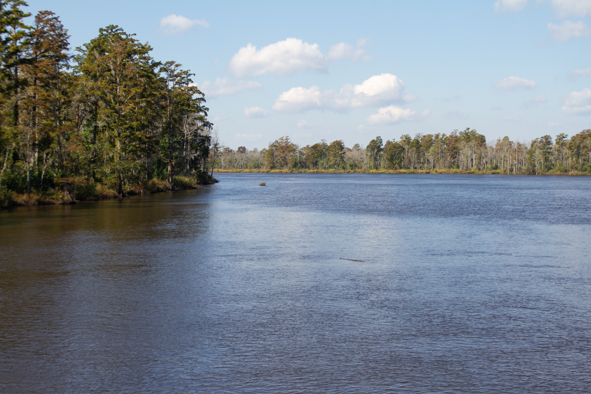 GenX, a chemical produced by Chemours, is more toxic than previously believed, according to a recent EPA final toxicity report released Monday. (Port City Daily photo/Johanna F. Still)