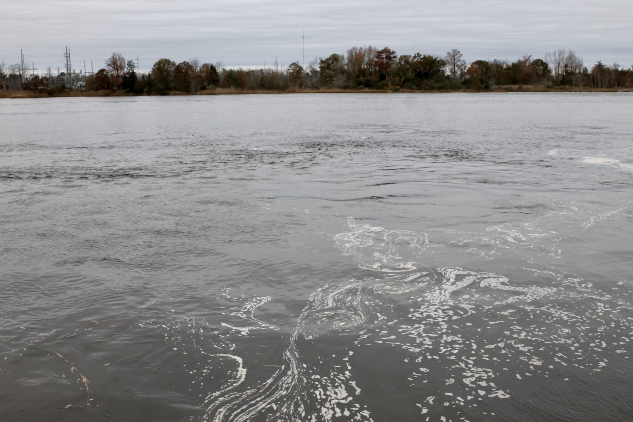 Local groups sue EPA for failing to put ‘people over polluters’ | Port ...