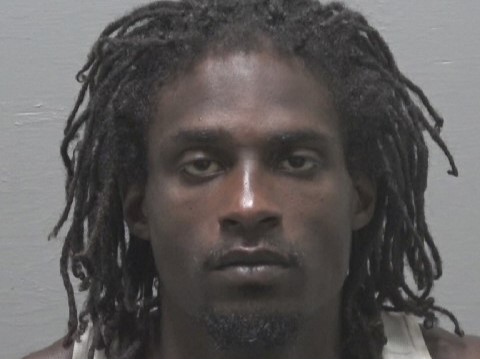 Convicted felon arrested for firearm possession, fleeing to elude ...
