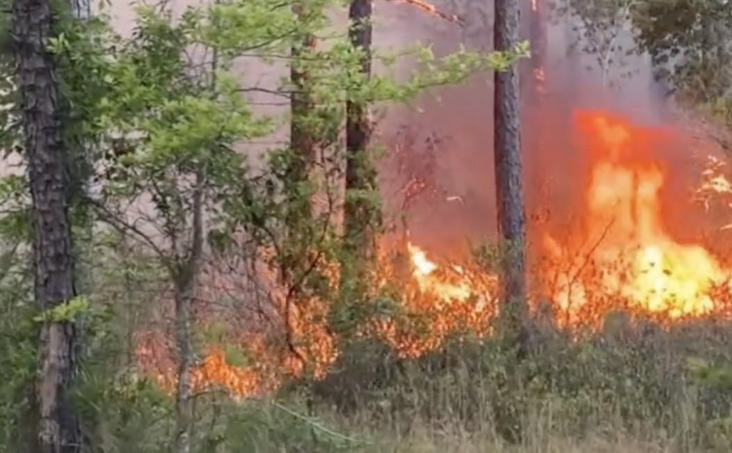 Boiling Springs Lake wildfire grows to 800 acres | Port City Daily