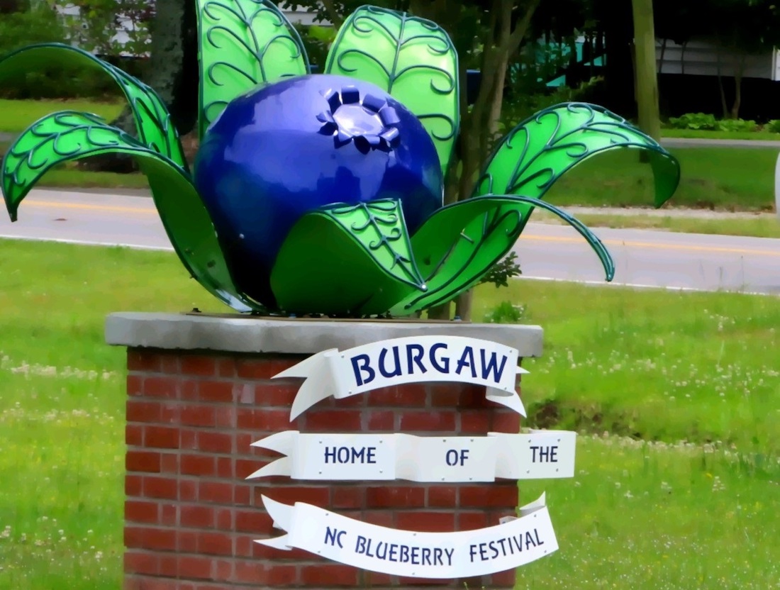 Li’l Friday: Darius Rucker, N.C. Blueberry Festival, Juneteenth